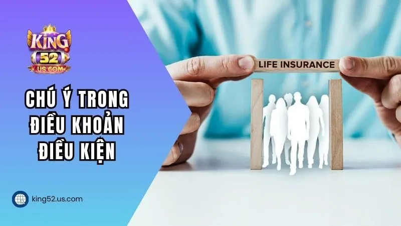 Chú ý trong chính sách điều khoản & điều kiện